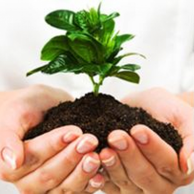 Bible and Ecology course July 2021